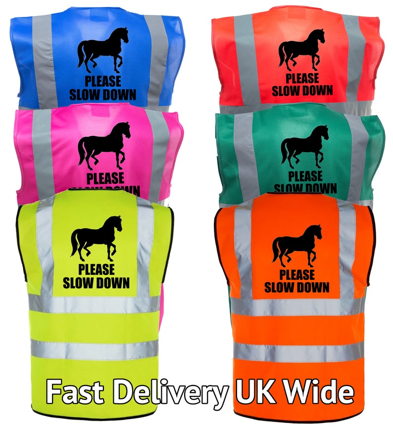 Please Slow Down - Hi Vis Vest